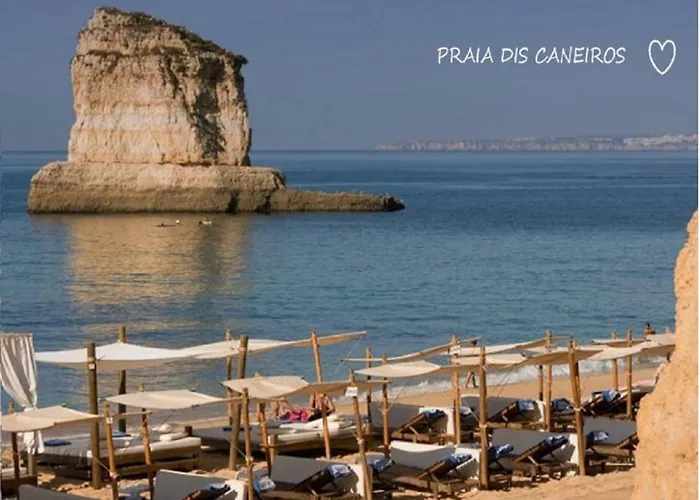 Apartment Ocean Terraces Gaivota J