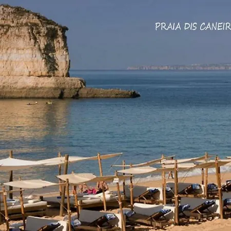 شقة Ocean Terraces Gaivota J