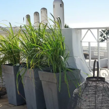Ocean Terraces Gaivota J Appartement *