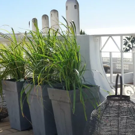 Ocean Terraces Gaivota J Appartement *